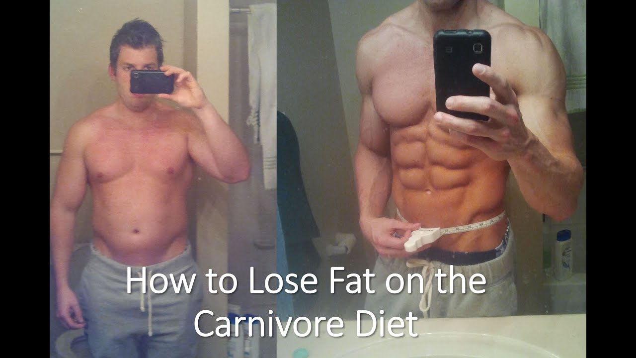 How to Gain Weight on Carnivore? 
